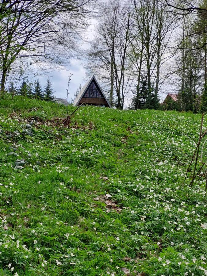 U Hanki Żywiec Extérieur photo